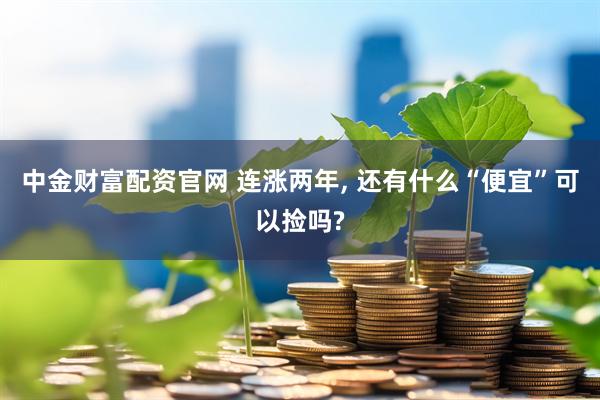 中金财富配资官网 连涨两年, 还有什么“便宜”可以捡吗?