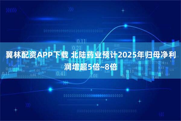 翼林配资APP下载 北陆药业预计2025年归母净利润增超5倍~8倍
